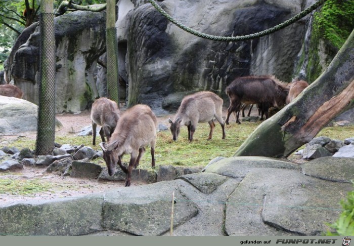 Impressionen aus Hagenbecks Tierpark Teil 6