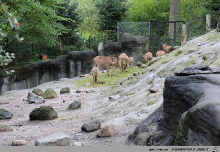 Impressionen aus Hagenbecks Tierpark Teil 6