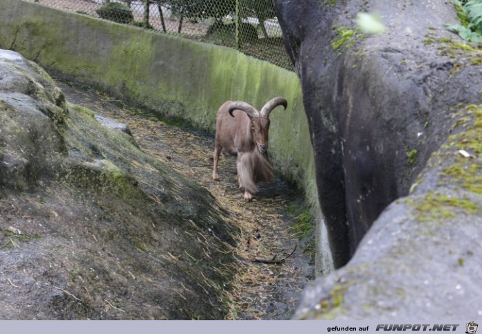 Impressionen aus Hagenbecks Tierpark Teil 6