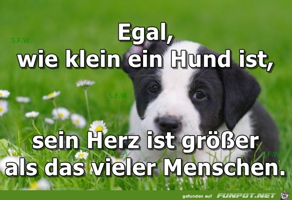 ein kleiner ein kleiner