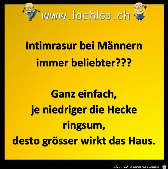 immer beliebter,..... immer beliebter,.....