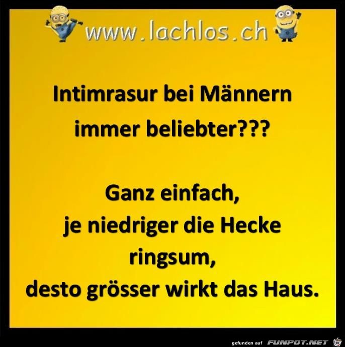 immer beliebter,.....