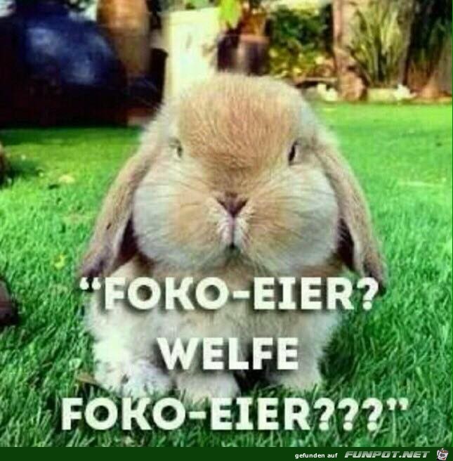 Welche Schoko-Eier Welche Schoko-Eier