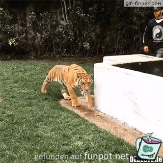 Gewagt Gewagt