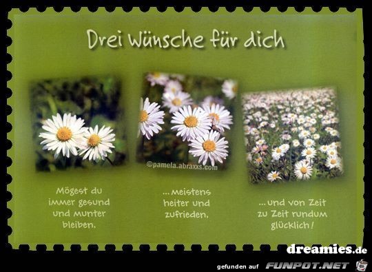 Drei Wuensche fuer dich