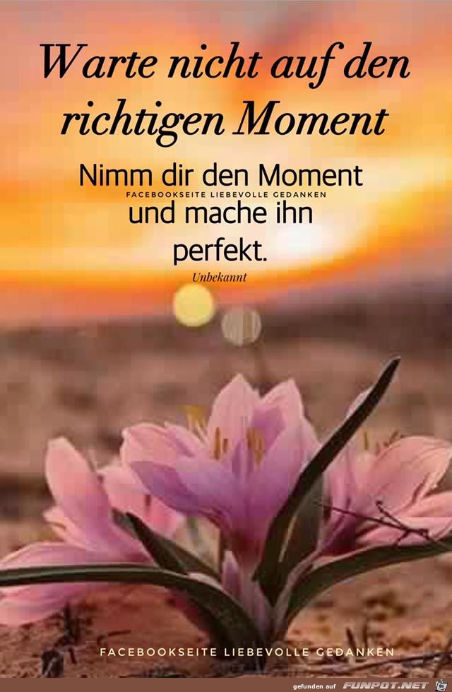 Warte nicht Warte nicht