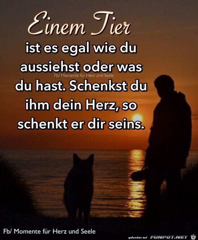 Einem Tier Einem Tier