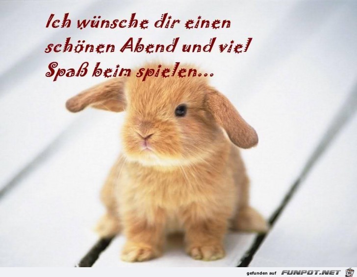 Wuensche einen schoenen Abend Wuensche einen schoenen Abend