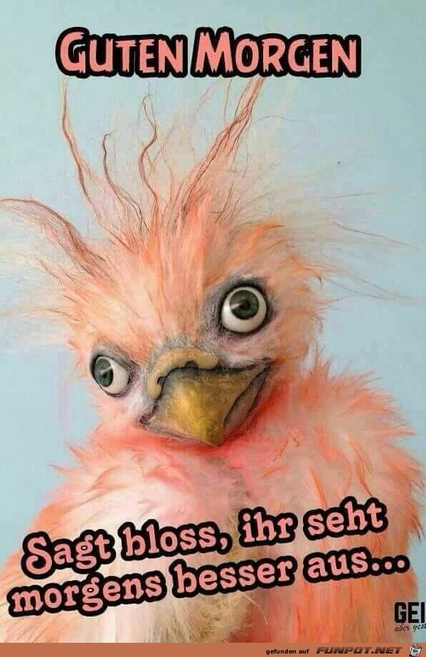Guten Morgen Guten Morgen