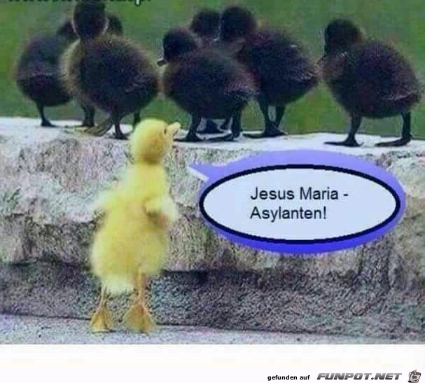 Wer ist das Wer ist das