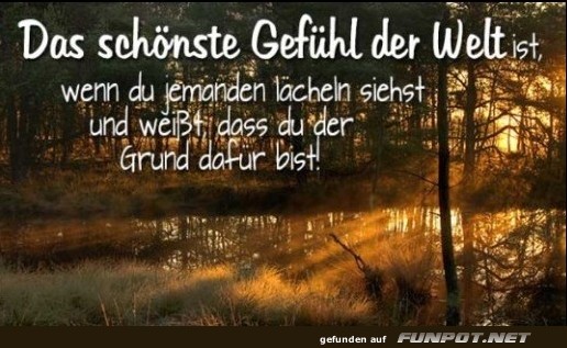 10 schöne Sprüche und Lebensweisheiten aus... 10 schöne Sprüche und Lebensweisheiten aus...