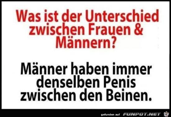 der Unterschied zwischen Frauen und Männer der Unterschied zwischen Frauen und Männer