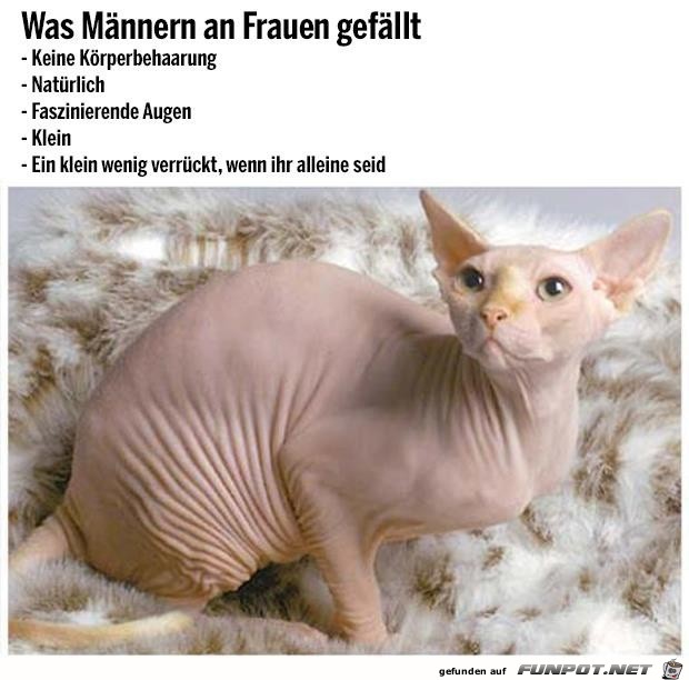 was Männer an Frauen gefällt was Männer an Frauen gefällt