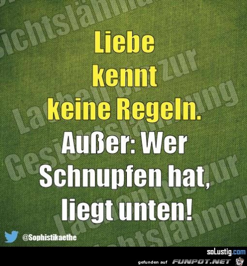 Schnupfen Schnupfen