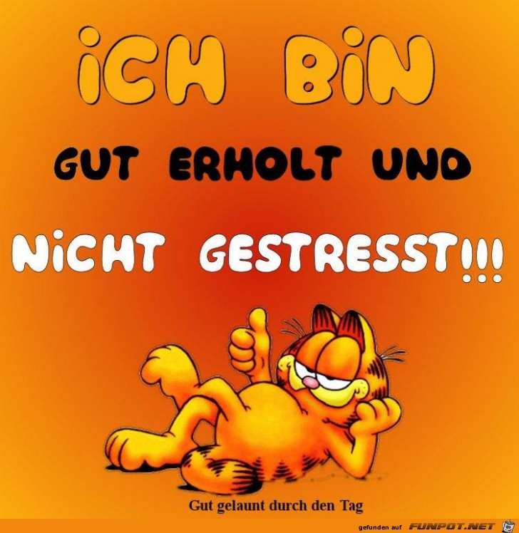 Bin gut erhoelt Bin gut erhoelt