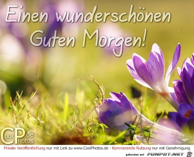 Einenwunderschoenen Guten Morgen