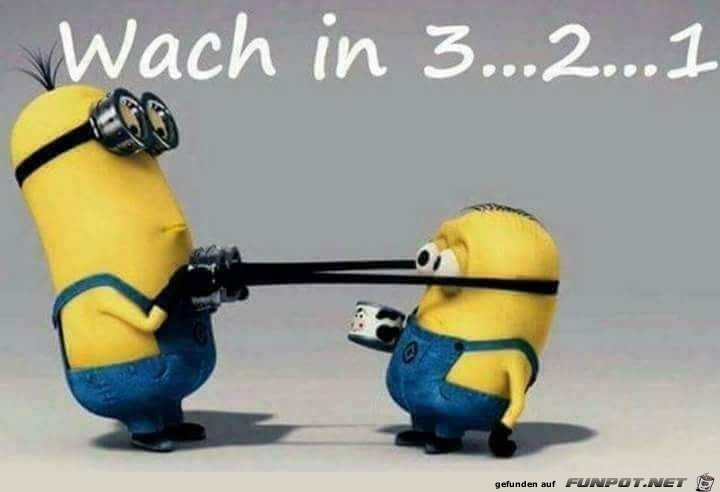 Gleich bist du wach Gleich bist du wach