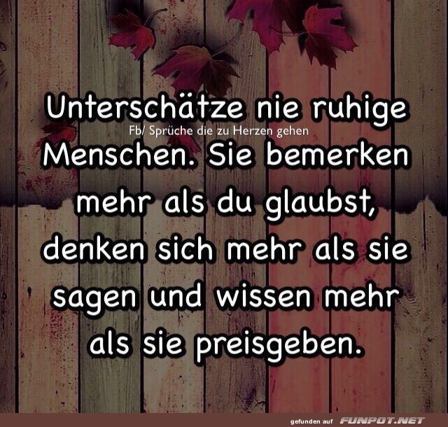 Unterschaetze nie ruhige Menschen Unterschaetze nie ruhige Menschen
