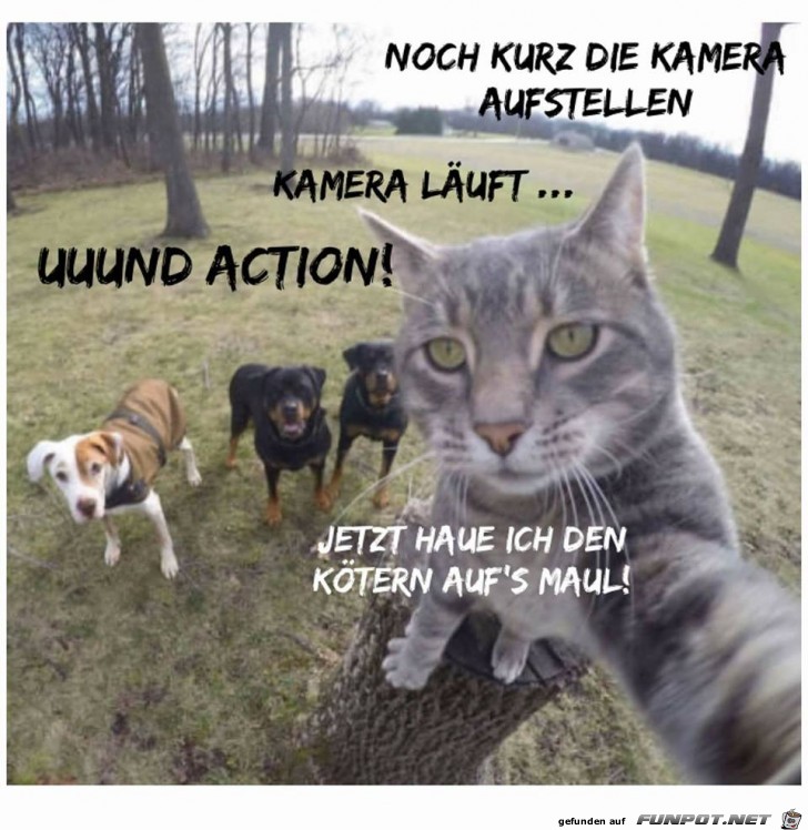 Kamera aufstellen Kamera aufstellen
