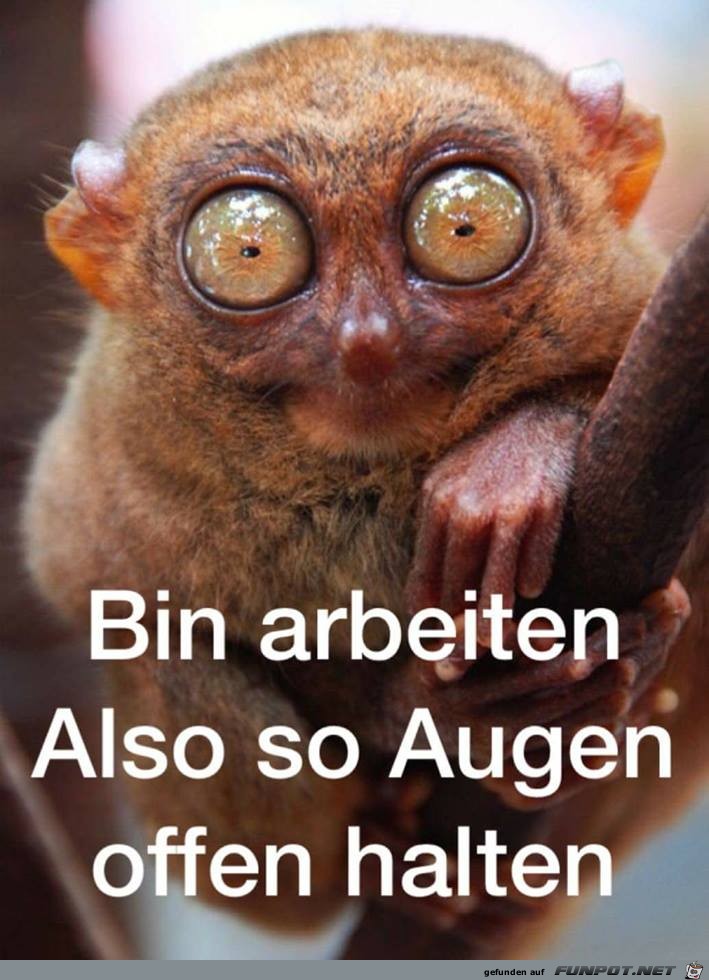 Bin arbeiten Bin arbeiten