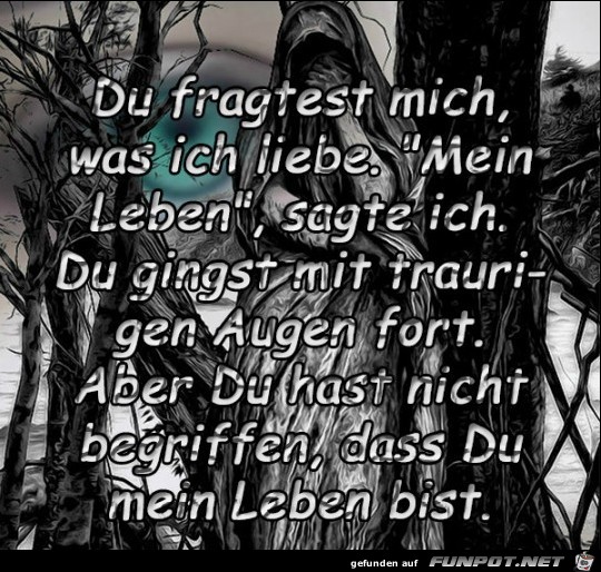 du fragtest mich, was ich liebe!.......