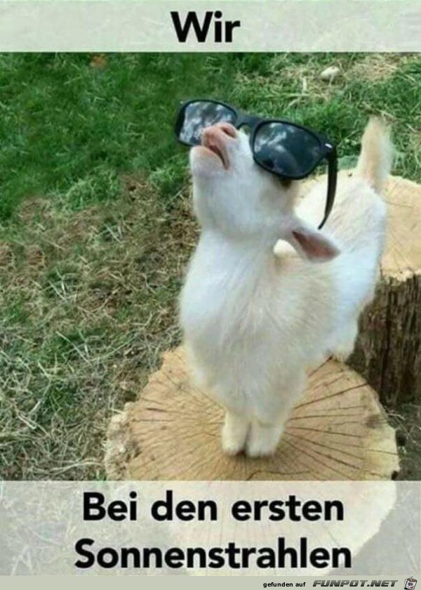Endlich Sonne Endlich Sonne