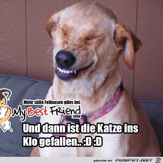 Und dann ist Und dann ist