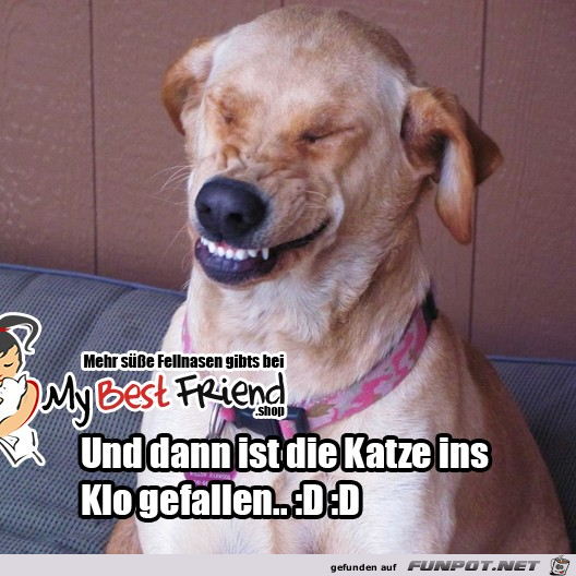 Und dann ist Und dann ist