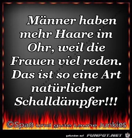 Schalldämpfer Schalldämpfer