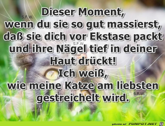 Dieser Moment