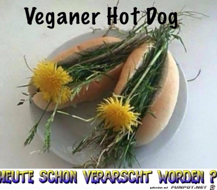 Veganer Hot Dog
