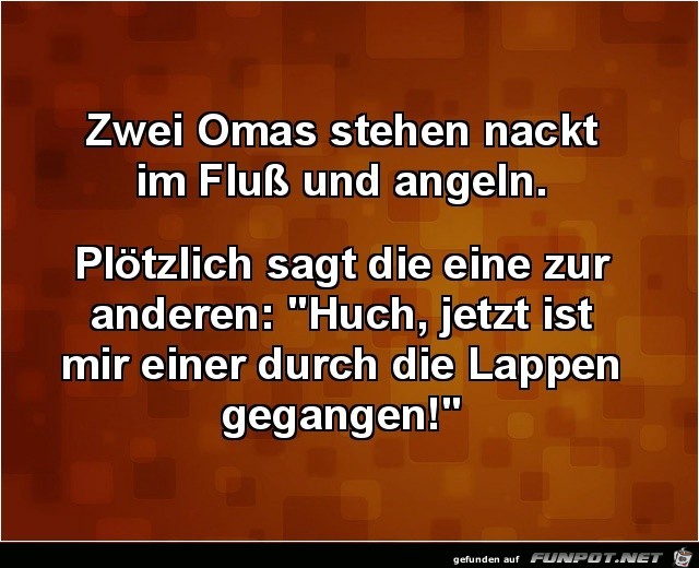 zwei Omas stehen im Fluss.....