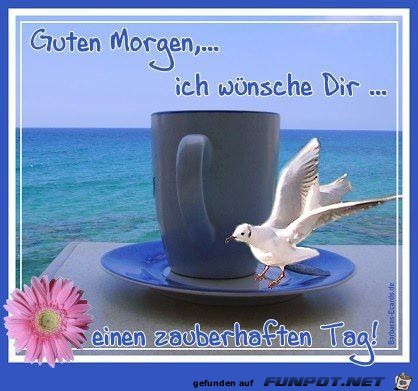 Guten Morgen