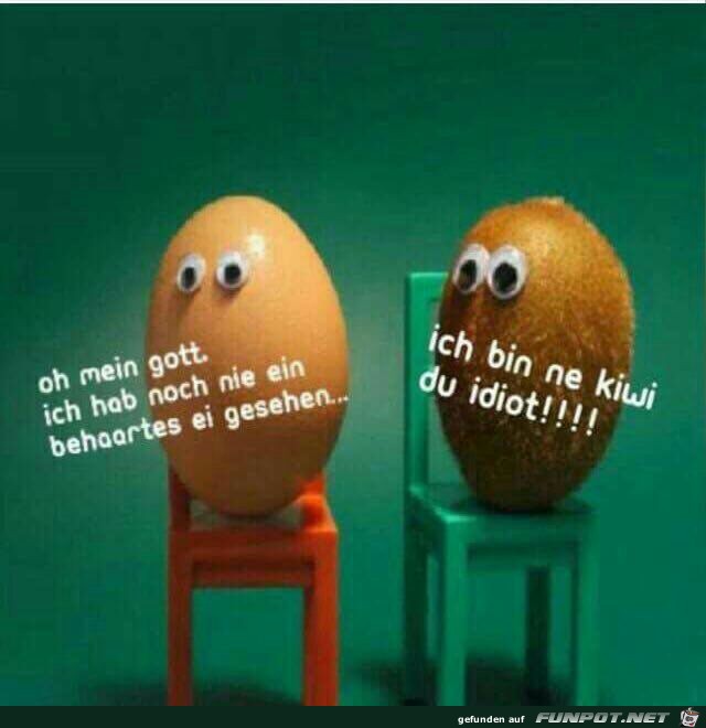 Kiwi Kiwi