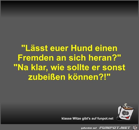 Lässt euer Hund einen Fremden an sich heran? Lässt euer Hund einen Fremden an sich heran?