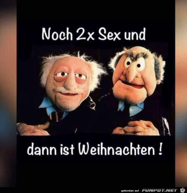 Noch 2x Noch 2x