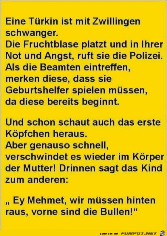 Eine Türkin ist mit Zwillingen schwanger... Eine Türkin ist mit Zwillingen schwanger...