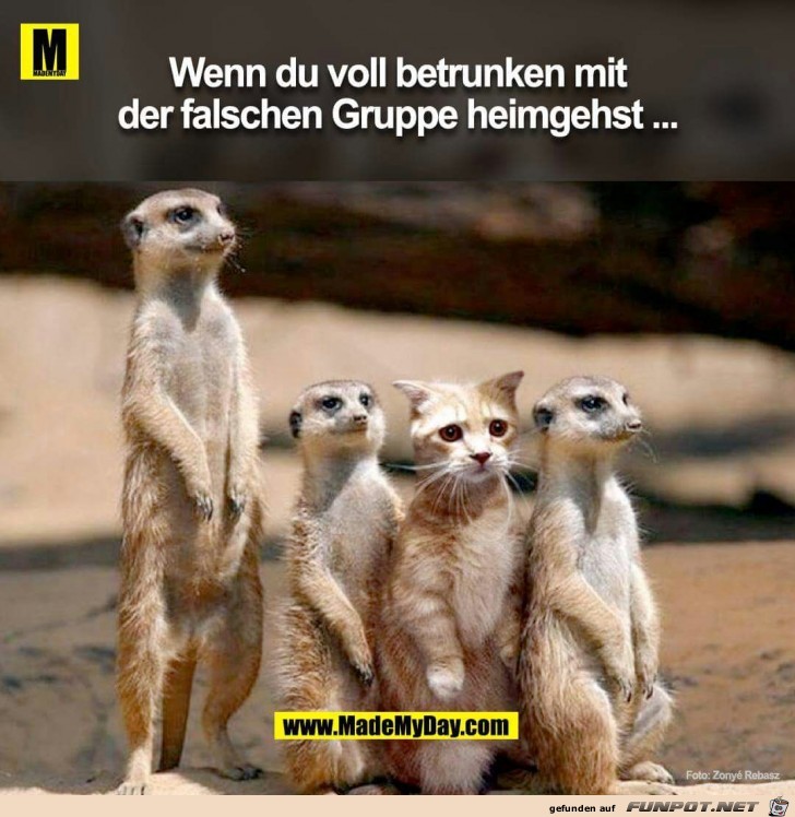 Voll betrunken/falsche Gruppe Voll betrunken/falsche Gruppe