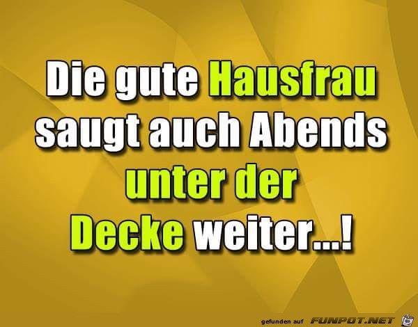 Eine gute Hausfrau... Eine gute Hausfrau...