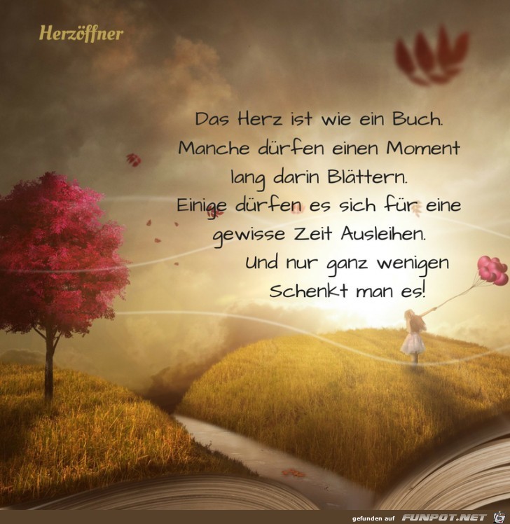 Das Herz ist wie ein Buch