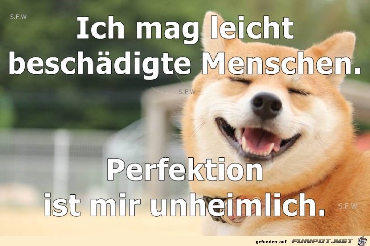 ich mag leicht beschaedigte Menschen ich mag leicht beschaedigte Menschen