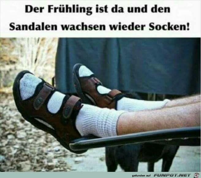 Der Frühling ist da Der Frühling ist da