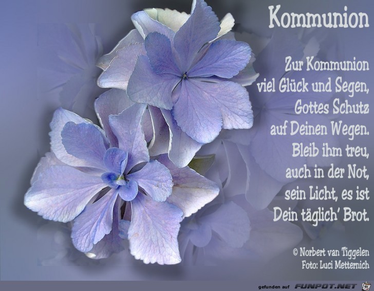 Kommunion 2018 Kommunion 2018
