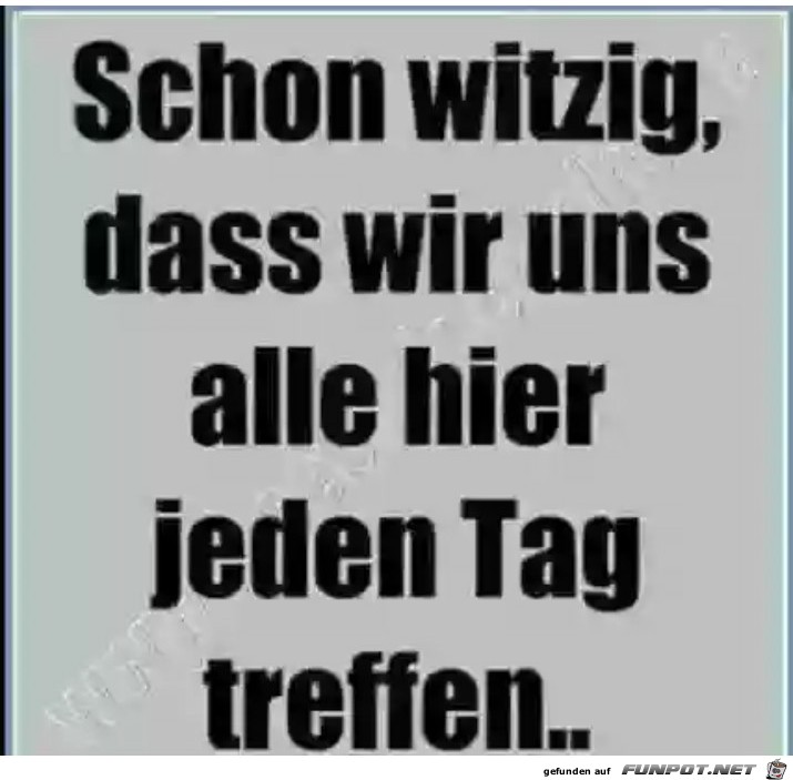 schon witzig schon witzig
