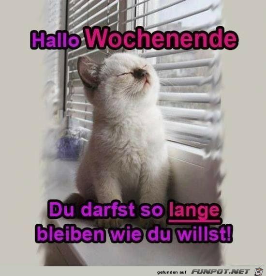 hallo Wochenende!.... hallo Wochenende!....