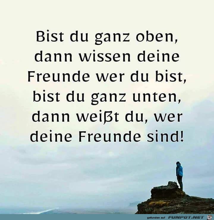 Freunde Freunde