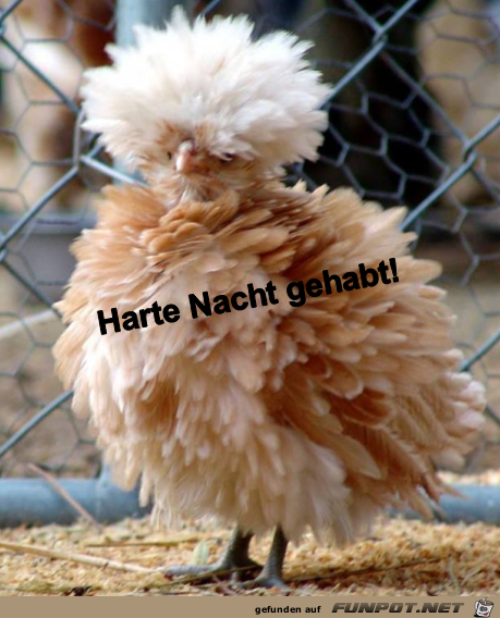 Harte Nacht