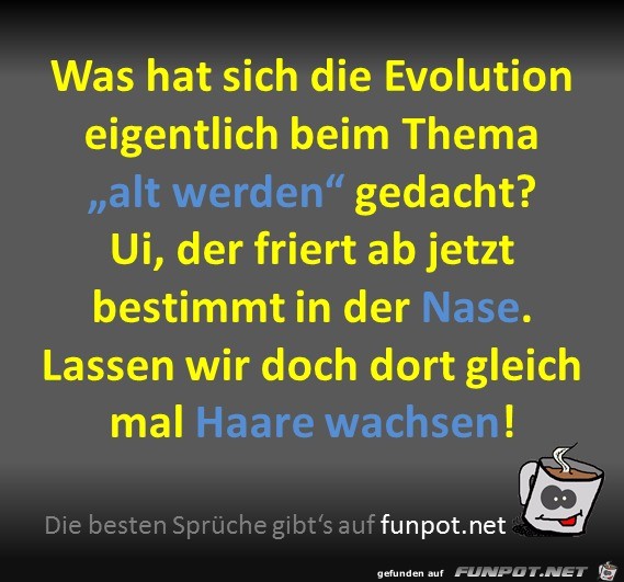 alt werden alt werden