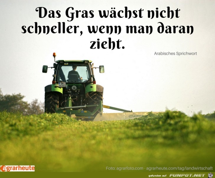 Gras Gras