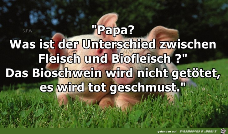 Fleisch und Biofleisch